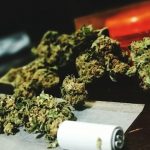 CONSECUENCIAS DE CULTIVAR MARIHUANA EN TU DOMICILIO.