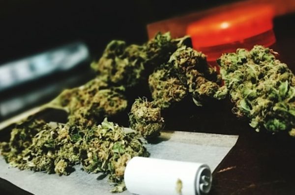 cannabis-marihuana-gibraltar